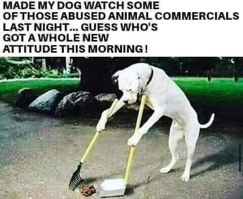 23:51:29 GMT-0700 (PDT).image