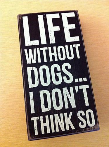 Life Without Dogs