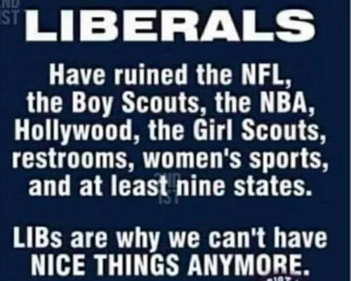 Screenshot_20210513-180335_Wimkin