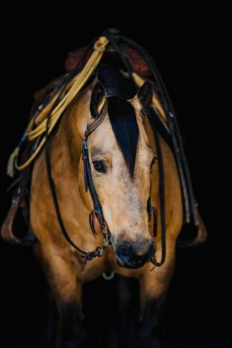 182594250_10159011945460642_98811958918478032_n