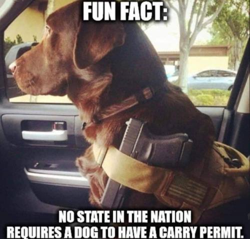 NO PERMIT