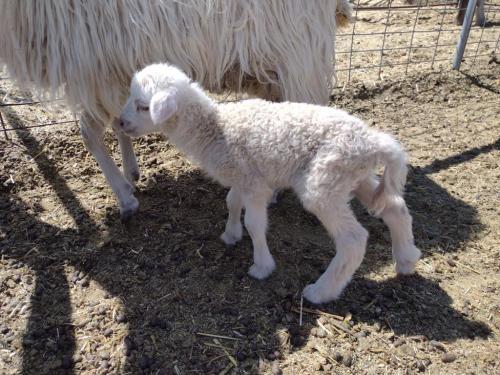 IMG_20210504_105929934