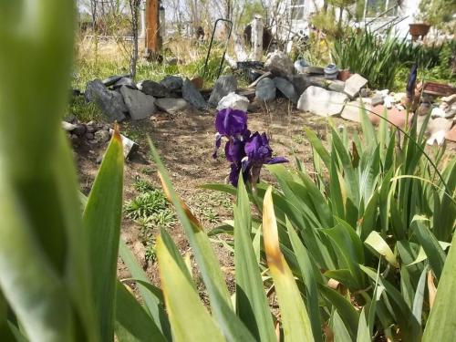 Around the farm...Easter 017