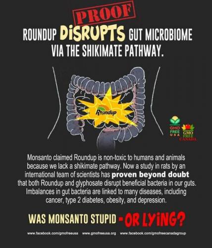 RoundUp_Disrupts_Metabolic_Pathway