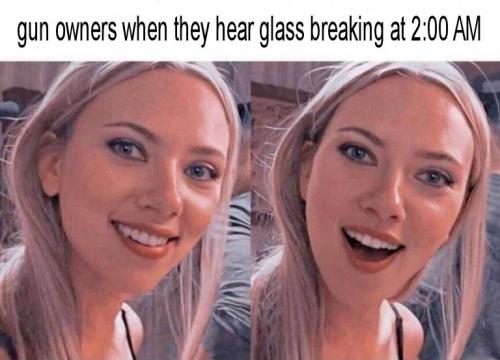 gun owners when they hear glass breaking at two in the morning