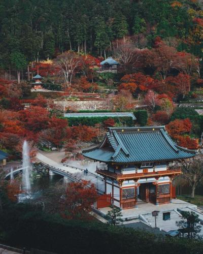 187813481_3950538498398586_5072864896192390315_n