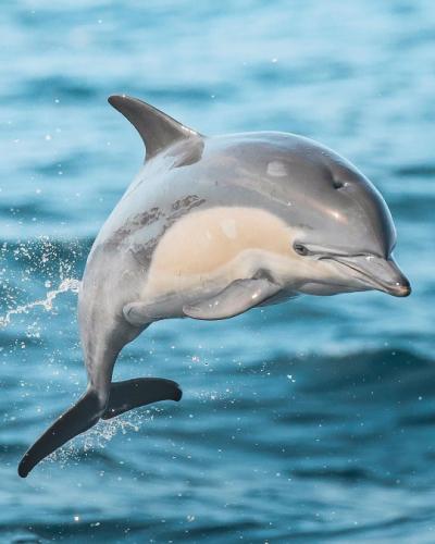 tumblr_eb50874275dcacffe17fb63c07b47cba_012d5b47_540