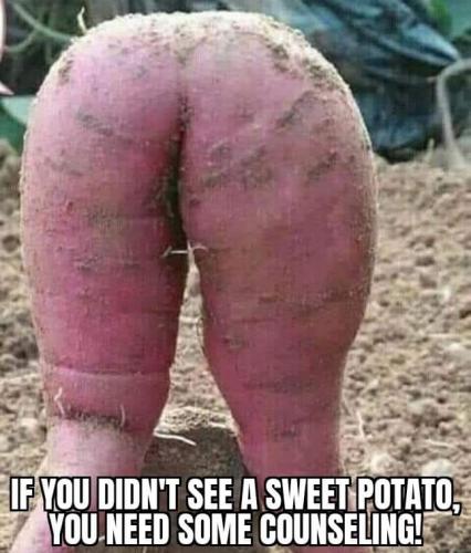 19:20:54 GMT-0400 (EDT)