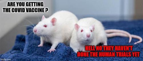 12:33:21 GMT-0300 (ADT)