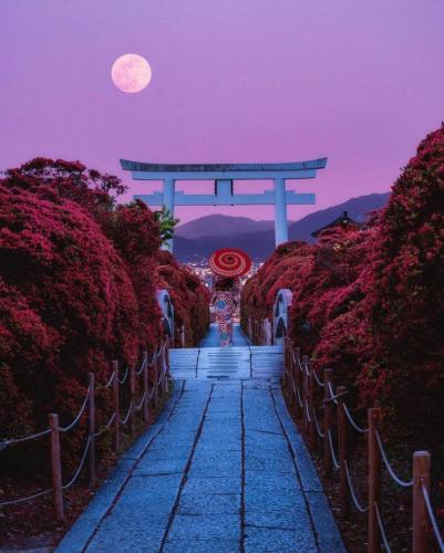 185945731_322975445865131_2601961689469693983_n