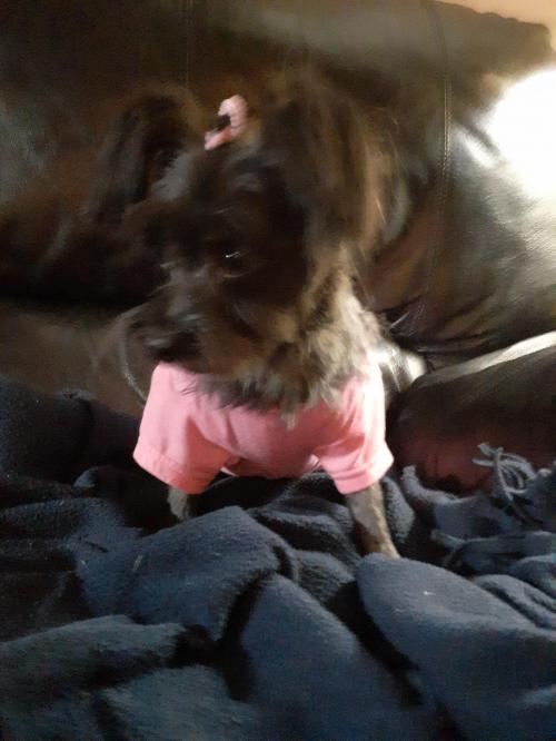 My fur baby, Lundi Bb  Noir