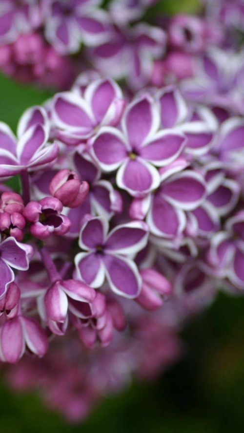 11:56:41 GMT-0400 (EDT).png