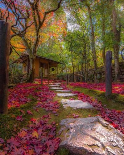 185217238_317669726395703_7364998380891710420_n