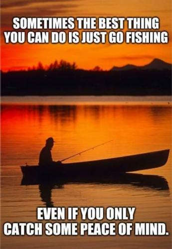 received_300799495017775