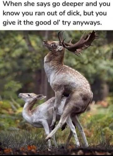 22:10:58 GMT-0700 (PDT)