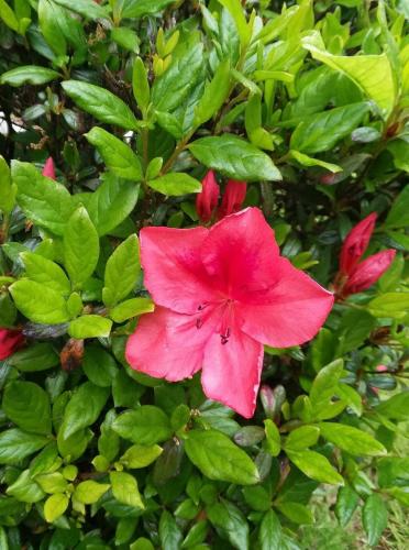 FB_IMG_1620683672367