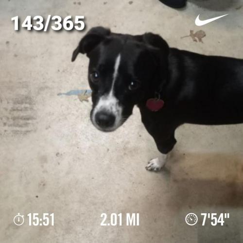 20:29:08 GMT-0500 (CDT)