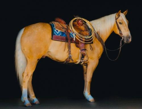 182756445_10159011950575642_7740194453107869937_n