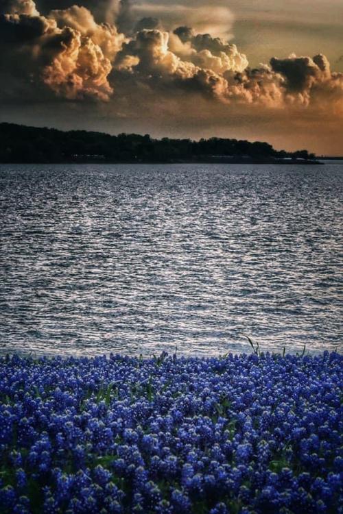 20:01:08 GMT-0500 (CDT).image