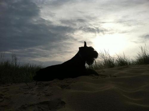 163570_4760980106046_1013289523_n_4760980106046