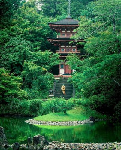 179874088_312383370257672_7335463977335703332_n