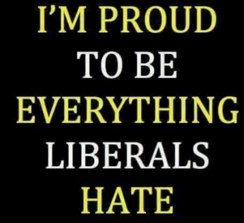 PROUD TO BE EVERYTHING LIBERALS HATE (3)