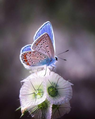 188757599_334904724679874_5389011478889472279_n