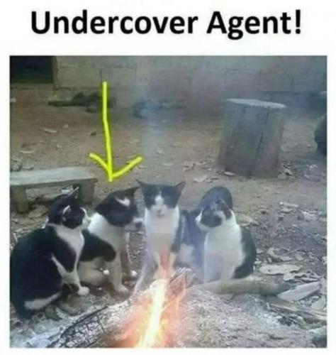 19:23:12 GMT-0400 (EDT)