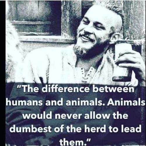 181746281_966379930770748_1616874876150061546_n