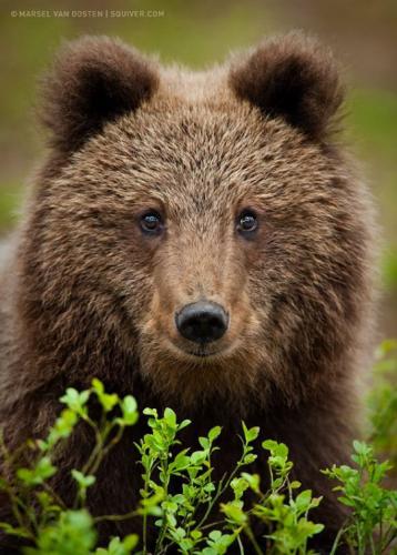 tumblr_3c58ff23f3d9381160978acf79d376d3_a1c121bb_540