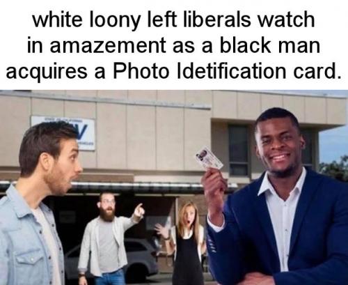 zlibtards232
