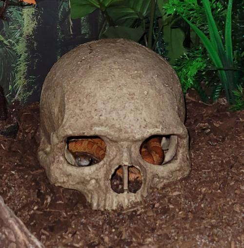 22:43:21 GMT-0400 (EDT)