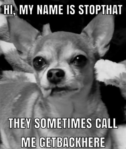 23:07:10 GMT-0400 (EDT)