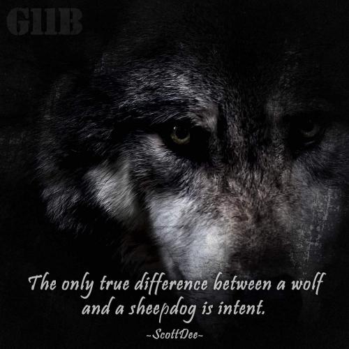 20:53:49 GMT-0500 (CDT)