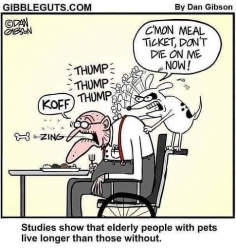 19:54:15 GMT-0700 (PDT)