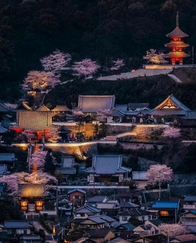 193486522_2867698063446651_4378446902514434048_n