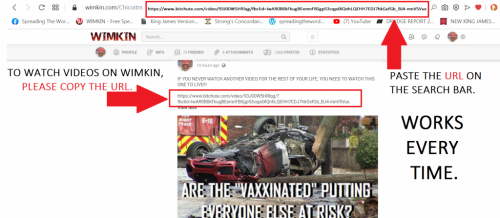 182803552_460291788395563_5024823665183231617_n (1)