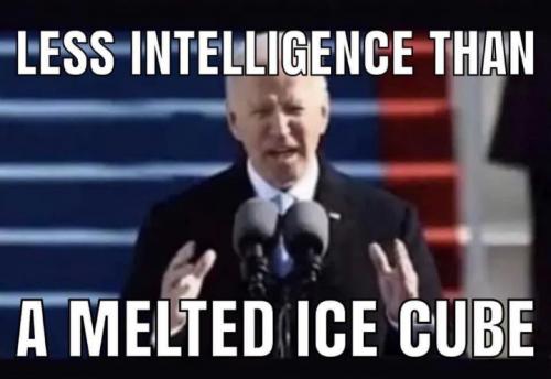 biden542