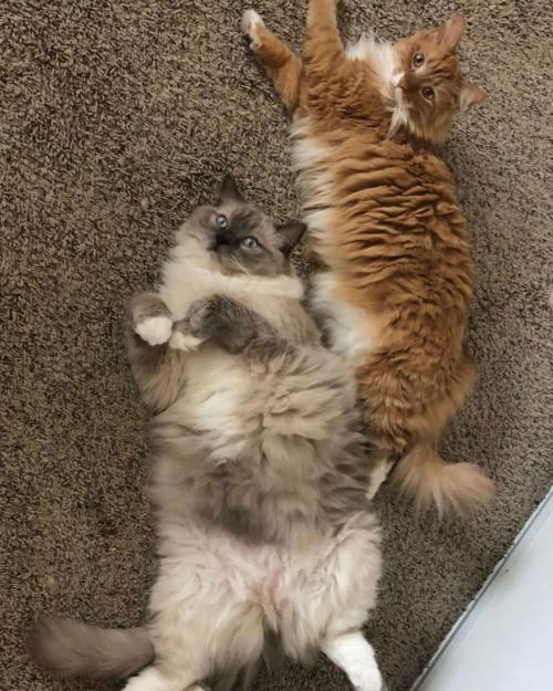 11:27:30 GMT-0500 (CDT)