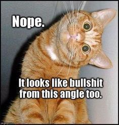 20:44:05 GMT-0400 (EDT)