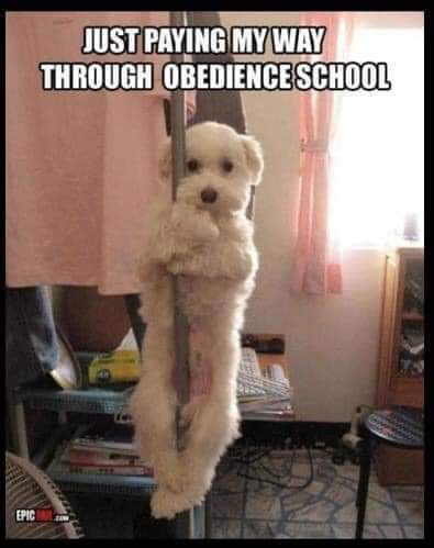 20:17:23 GMT-0700 (PDT)