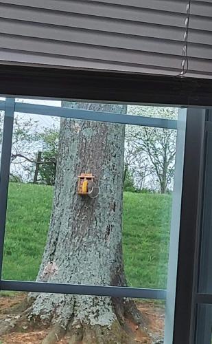 FB_IMG_1620683872507