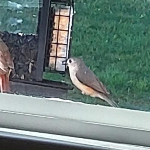 IMG_20210428_170543_595