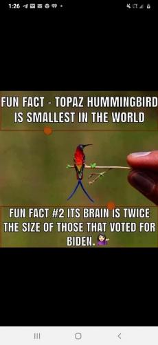 20:50:11 GMT-0500 (CDT)