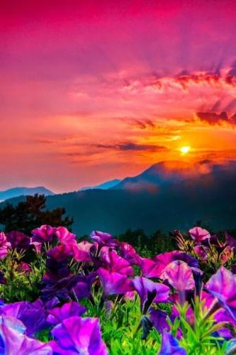 19:25:23 GMT-0500 (CDT)