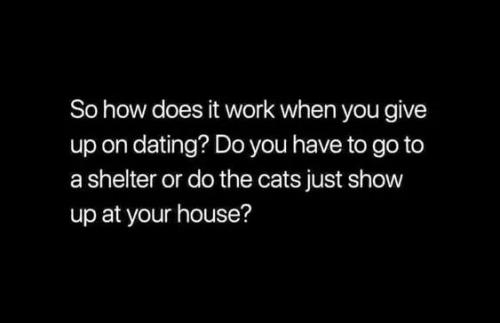 FB_IMG_1619062459440