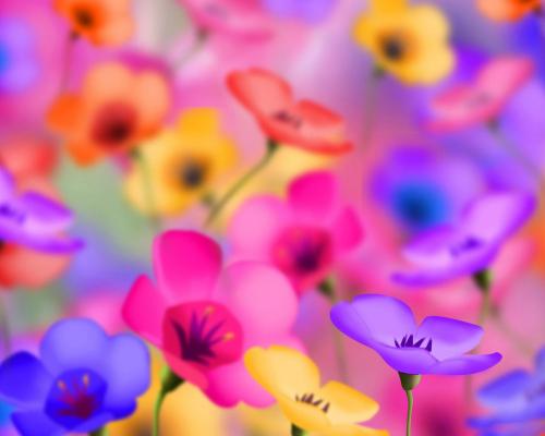 desktop-back-ground-flowewers-wallpapers_-4