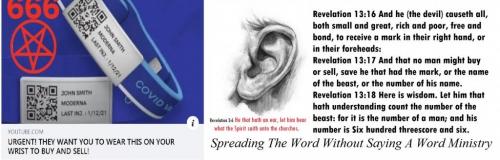 386129_262399910543972_1267818295_n - Copy (4) - Copy