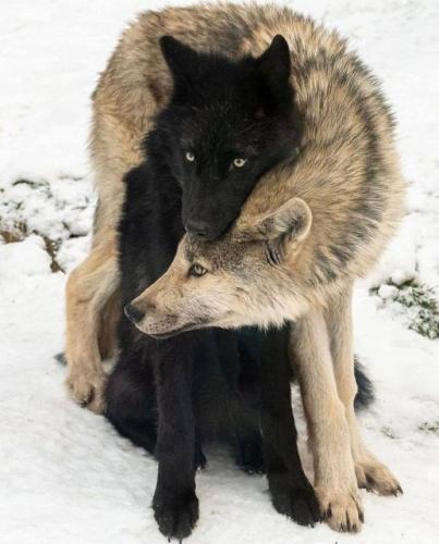 182514274_1862654293900774_4455828835880873829_n