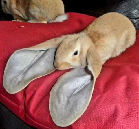 14:13:15 GMT-0700 (PDT)